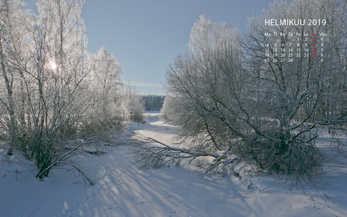 Helmikuun kalenterikuva