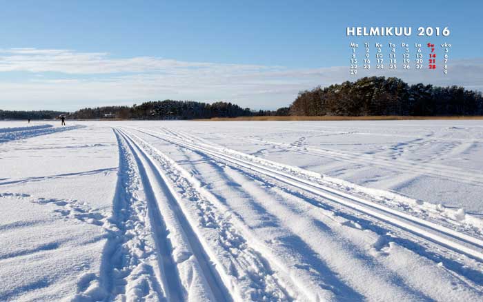 Helmikuu 2016 kalenterikuva