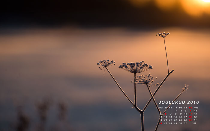 Joulukuun 2016 kalenterikuva
