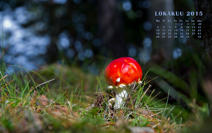 Kalenterikuva lokakuu 2015