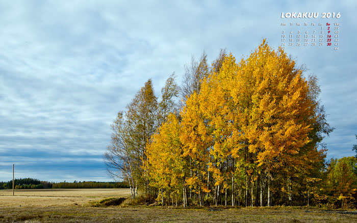 Lokakuun kalenterikuva