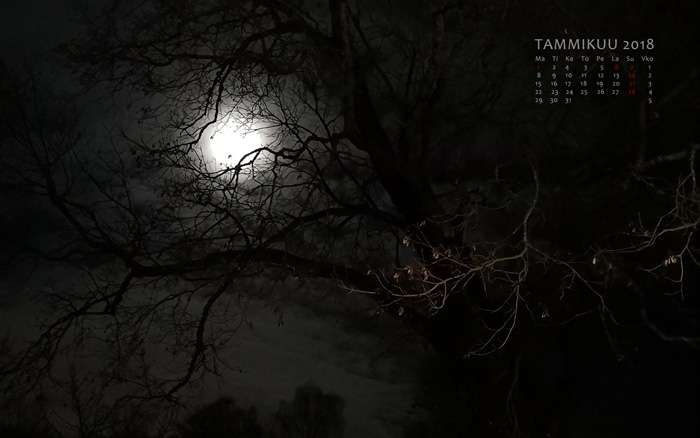 Tammikuu 2018